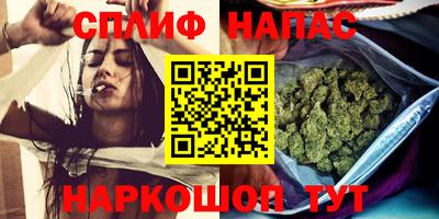 прущие грибы Отрадное