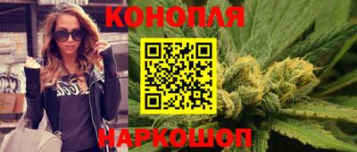 прущие грибы Отрадное