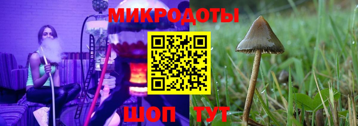 Галлюциногенные грибы GOLDEN TEACHER Волжск